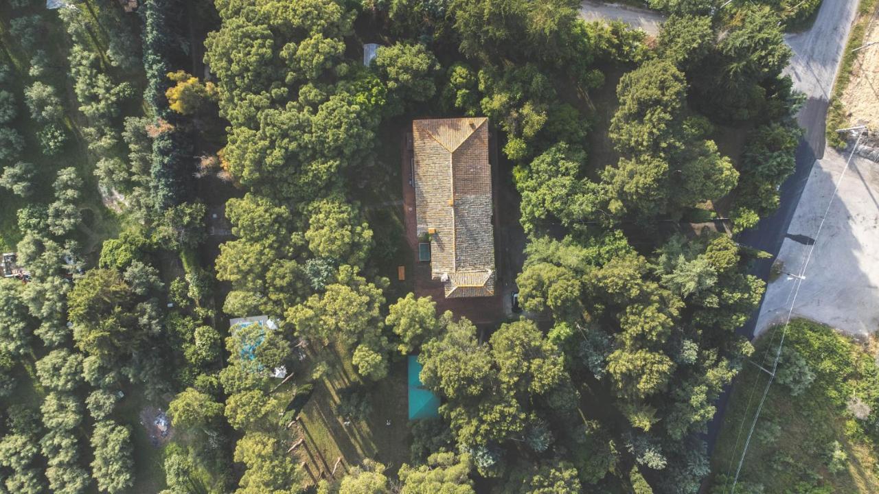 Aurora Holiday House Vasto Zewnętrze zdjęcie