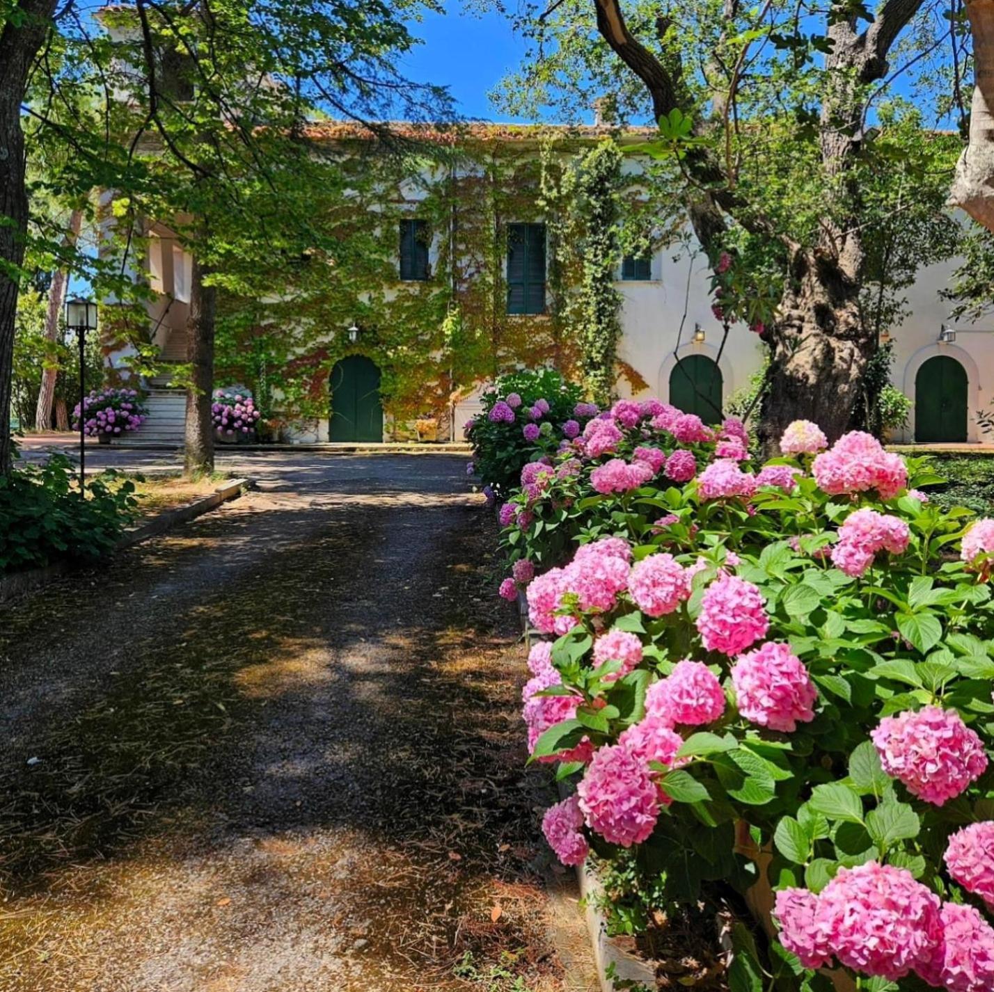 Aurora Holiday House Vasto Zewnętrze zdjęcie